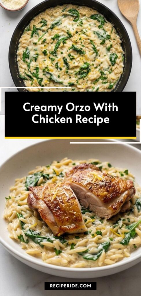 Creamy Orzo With Chicken Recipe